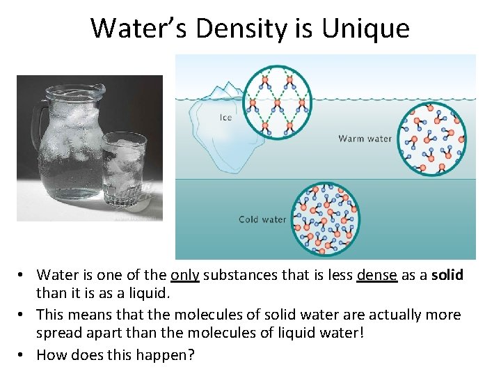 Water’s Density is Unique • Water is one of the only substances that is