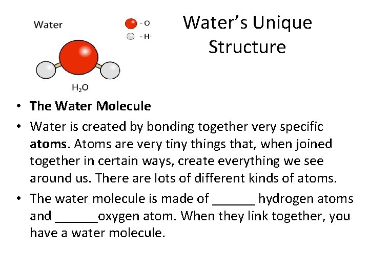 Water’s Unique Structure • The Water Molecule • Water is created by bonding together