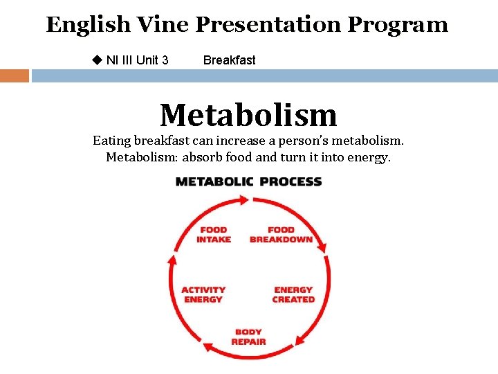 English Vine Presentation Program u NI III Unit 3 Breakfast Metabolism Eating breakfast can