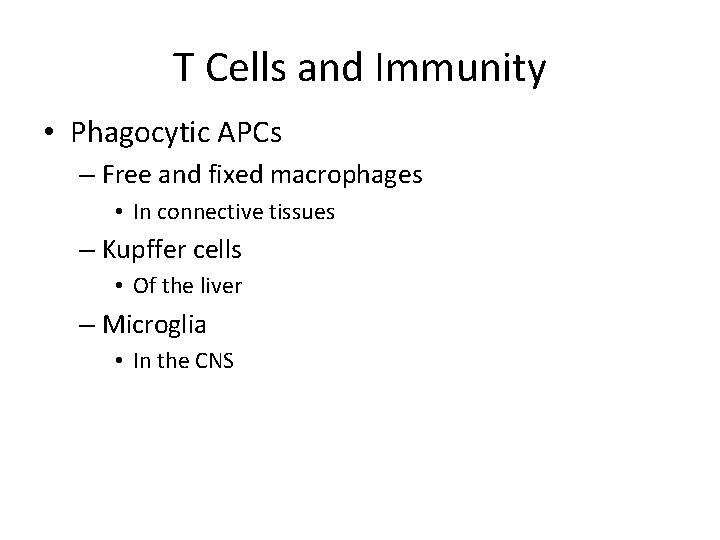 T Cells and Immunity • Phagocytic APCs – Free and fixed macrophages • In