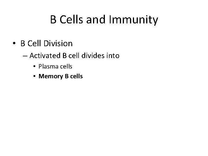 B Cells and Immunity • B Cell Division – Activated B cell divides into