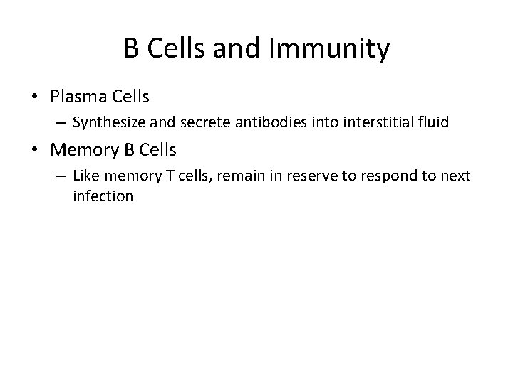 B Cells and Immunity • Plasma Cells – Synthesize and secrete antibodies into interstitial
