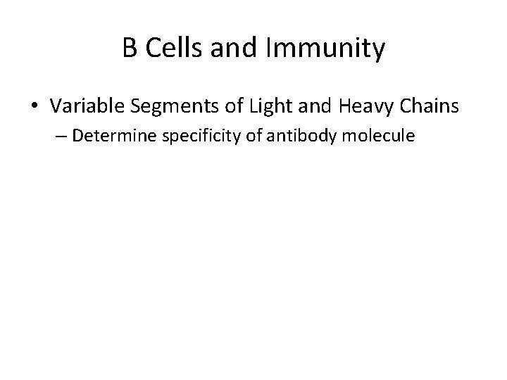 B Cells and Immunity • Variable Segments of Light and Heavy Chains – Determine