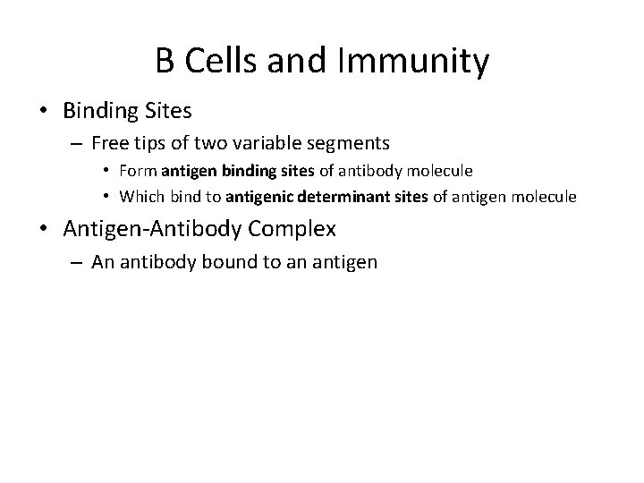 B Cells and Immunity • Binding Sites – Free tips of two variable segments