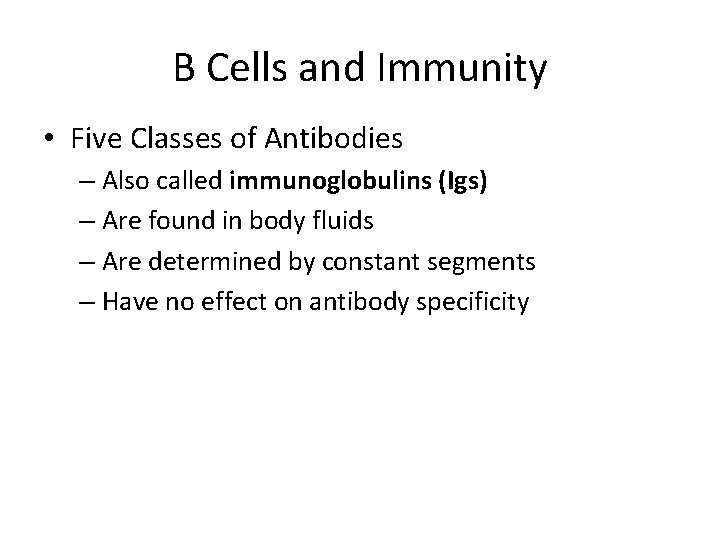 B Cells and Immunity • Five Classes of Antibodies – Also called immunoglobulins (Igs)