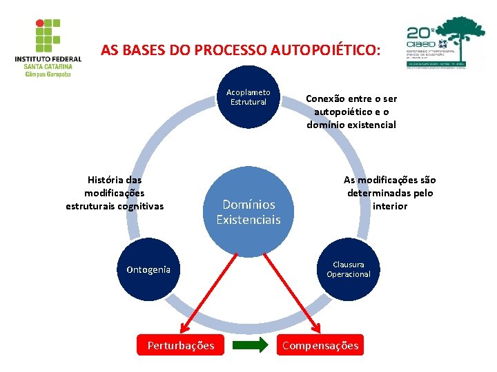 AS BASES DO PROCESSO AUTOPOIÉTICO: Acoplameto Estrutural História das modificações estruturais cognitivas Ontogenia Perturbações