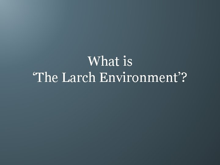 What is ‘The Larch Environment’? 