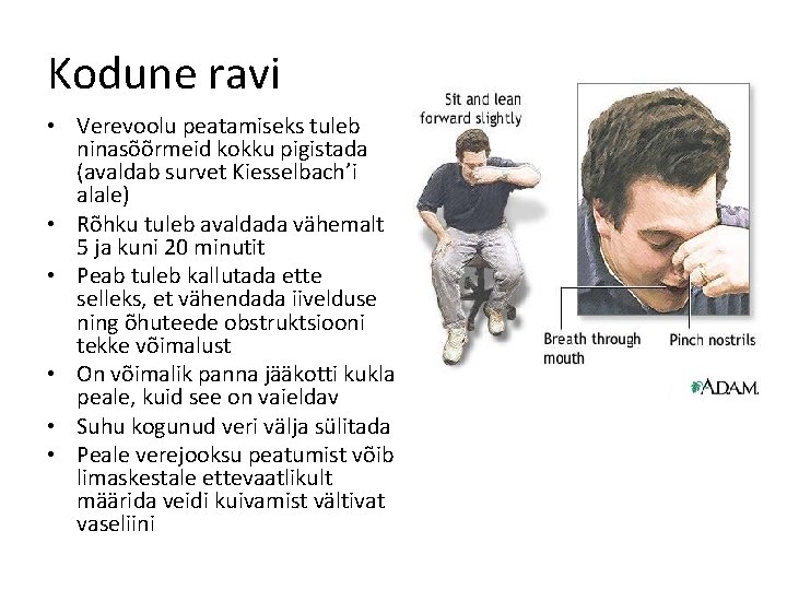 Kodune ravi • Verevoolu peatamiseks tuleb ninasõõrmeid kokku pigistada (avaldab survet Kiesselbach’i alale) •