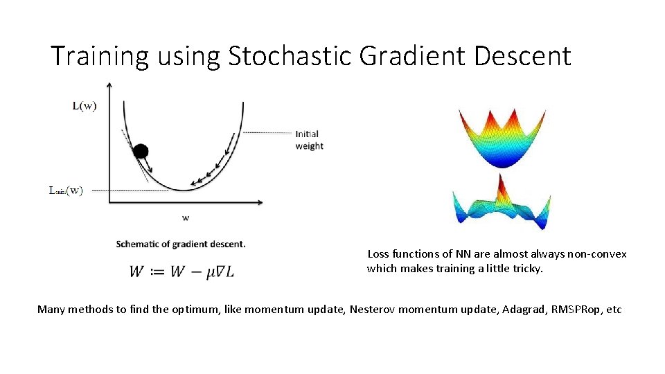 Training using Stochastic Gradient Descent Loss functions of NN are almost always non-convex which