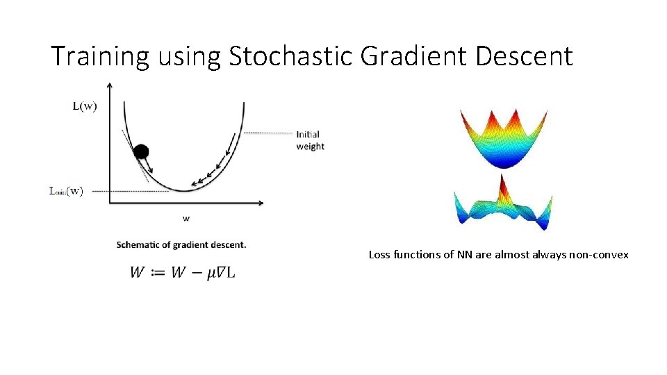 Training using Stochastic Gradient Descent Loss functions of NN are almost always non-convex 
