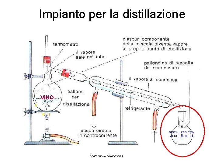 Impianto per la distillazione VINO DISTILLATO CON ALCOL ETILICO Fonte: www. divincialba. it 