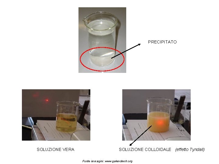 PRECIPITATO SOLUZIONE VERA SOLUZIONE COLLOIDALE (effetto Tyndall) Fonte immagini: www. galenotech. org 