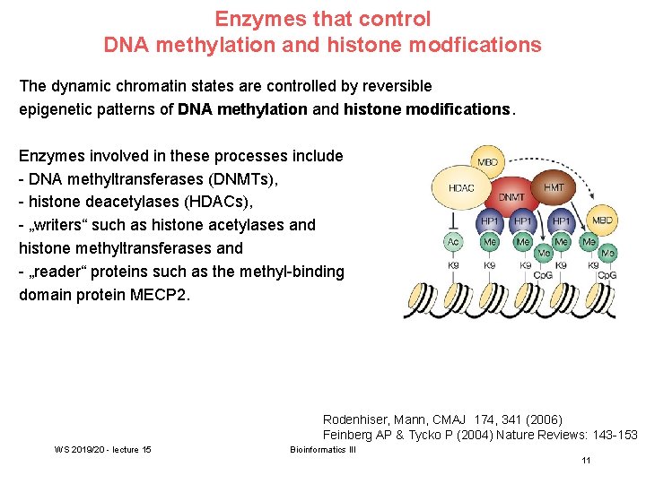 Enzymes that control DNA methylation and histone modfications The dynamic chromatin states are controlled