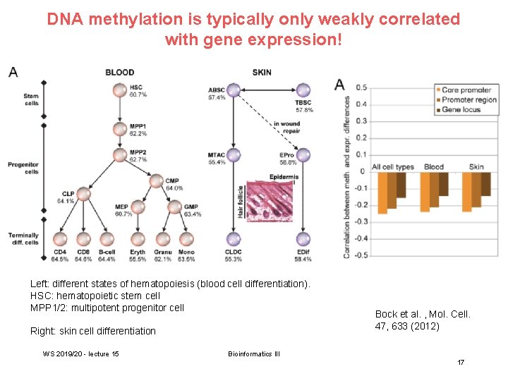 DNA methylation is typically only weakly correlated with gene expression! Left: different states of