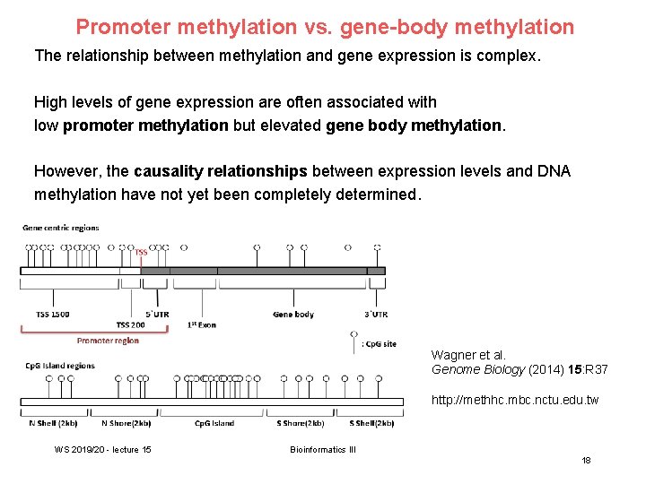 Promoter methylation vs. gene-body methylation The relationship between methylation and gene expression is complex.