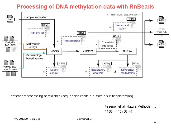 Processing of DNA methylation data with Rn. Beads Left stages: processing of raw data