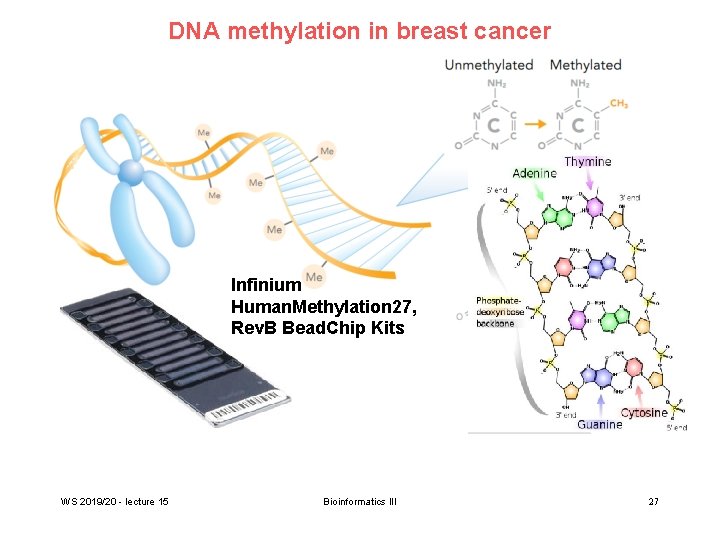 DNA methylation in breast cancer Infinium Human. Methylation 27, Rev. B Bead. Chip Kits