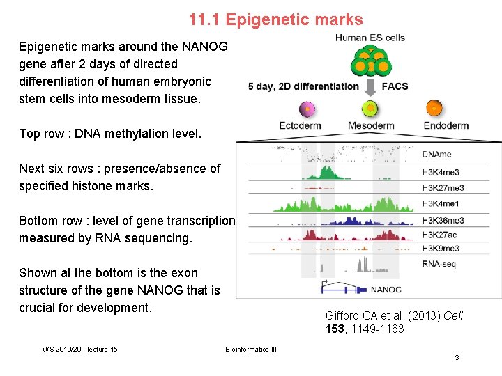 11. 1 Epigenetic marks around the NANOG gene after 2 days of directed differentiation