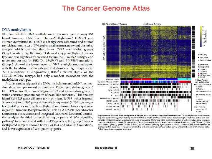 The Cancer Genome Atlas WS 2019/20 - lecture 15 Bioinformatics III 30 