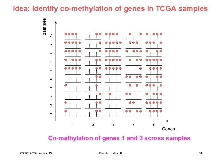 Idea: identify co-methylation of genes in TCGA samples Co-methylation of genes 1 and 3