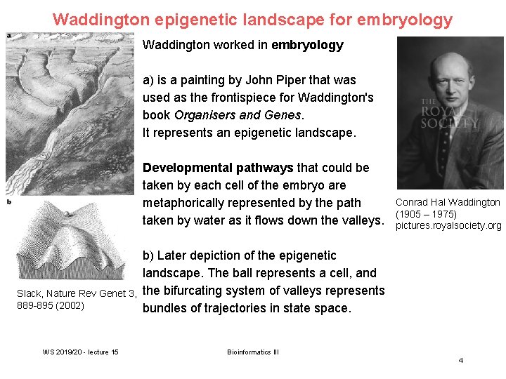 Waddington epigenetic landscape for embryology Waddington worked in embryology a) is a painting by
