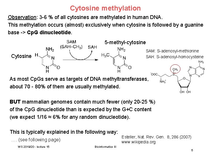Cytosine methylation Observation: 3 -6 % of all cytosines are methylated in human DNA.