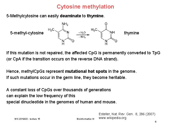 Cytosine methylation 5 -Methylcytosine can easily deaminate to thymine. 5 -methyl-cytosine thymine If this