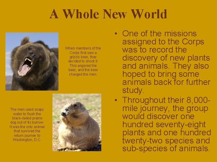 A Whole New World When members of the Corps first saw a grizzly bear,