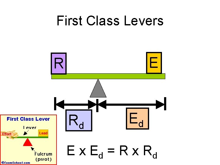 First Class Levers E R Rd Ed E x Ed = R x Rd
