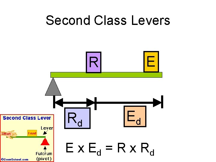 Second Class Levers E R Rd Ed E x Ed = R x Rd