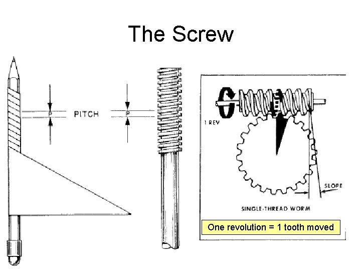 The Screw One revolution = 1 tooth moved 