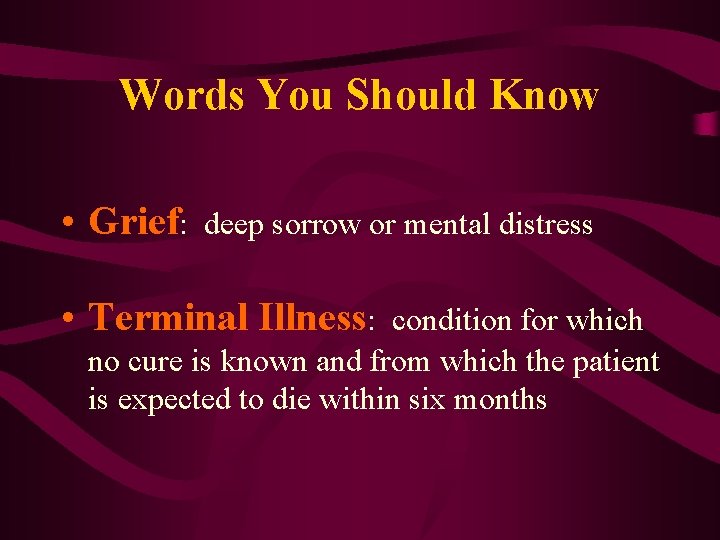 Words You Should Know • Grief: deep sorrow or mental distress • Terminal Illness: