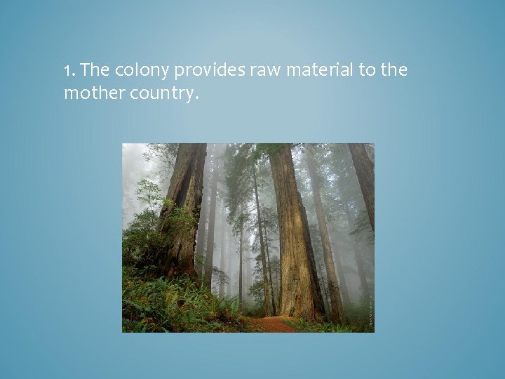 1. The colony provides raw material to the mother country. 