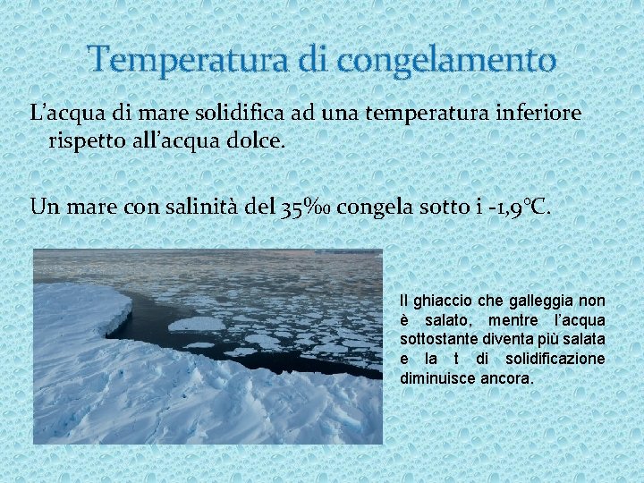 Temperatura di congelamento L’acqua di mare solidifica ad una temperatura inferiore rispetto all’acqua dolce.