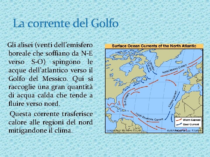 La corrente del Golfo Gli alisei (venti dell’emisfero boreale che soffiano da N-E verso