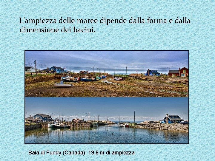 L’ampiezza delle maree dipende dalla forma e dalla dimensione dei bacini. Baia di Fundy