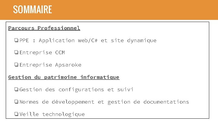 SOMMAIRE Parcours Professionnel ❏PPE : Application web/C# et site dynamique ❏Entreprise CCM ❏Entreprise Apsaroke