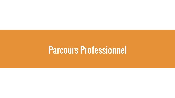 Parcours Professionnel 