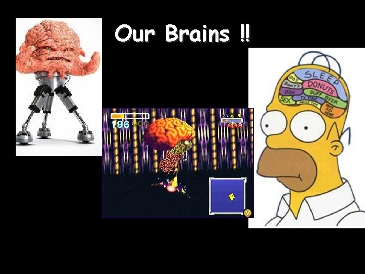 Our Brains !! 
