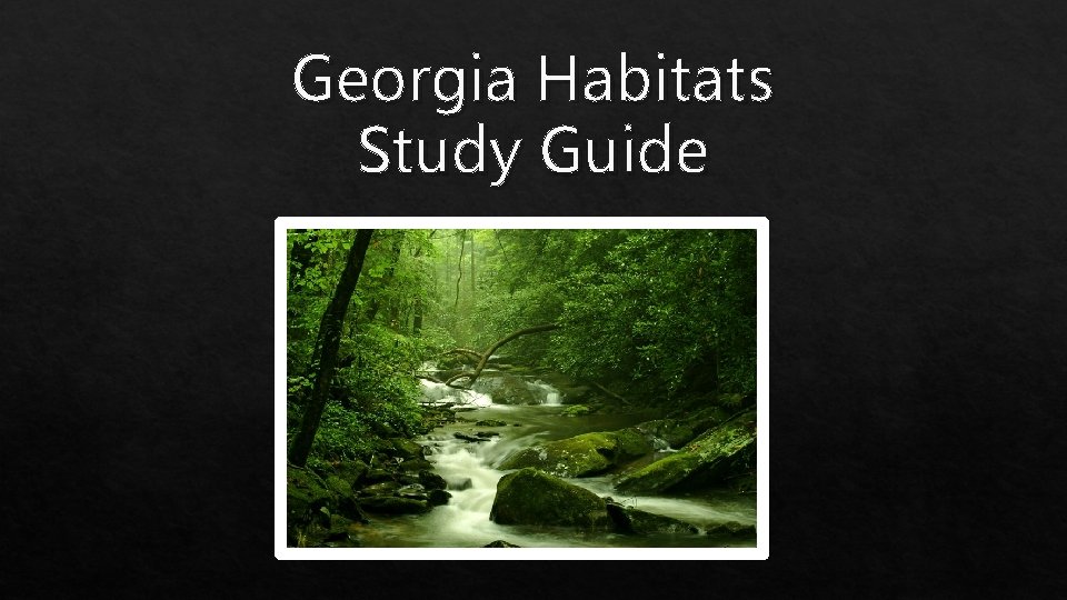 Georgia Habitats Study Guide 