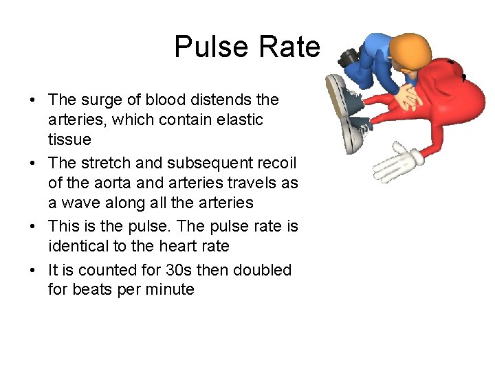 Pulse Rate • The surge of blood distends the arteries, which contain elastic tissue