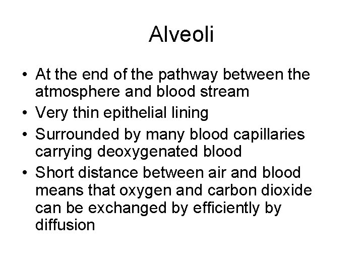 Alveoli • At the end of the pathway between the atmosphere and blood stream