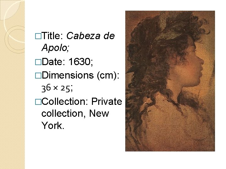 �Title: Cabeza de Apolo; �Date: 1630; �Dimensions (cm): 36 × 25; �Collection: Private collection,
