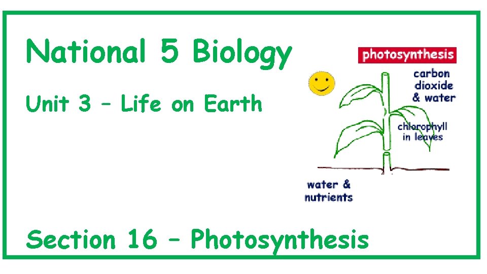National 5 Biology Unit 3 – Life on Earth Section 16 – Photosynthesis 