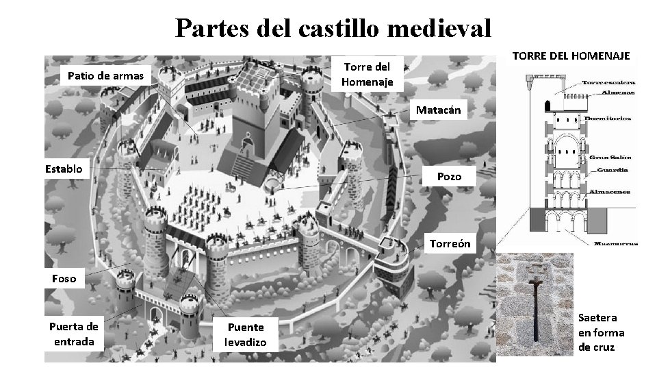 Partes del castillo medieval TORRE DEL HOMENAJE Torre del Homenaje Patio de armas Matacán