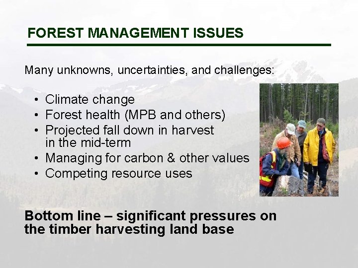 Forest Problem Statement Framework for Shaping Our Future Forests OVERVIEW Provincial