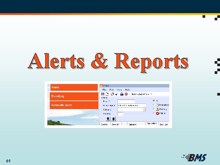 Alerts & Reports 61 