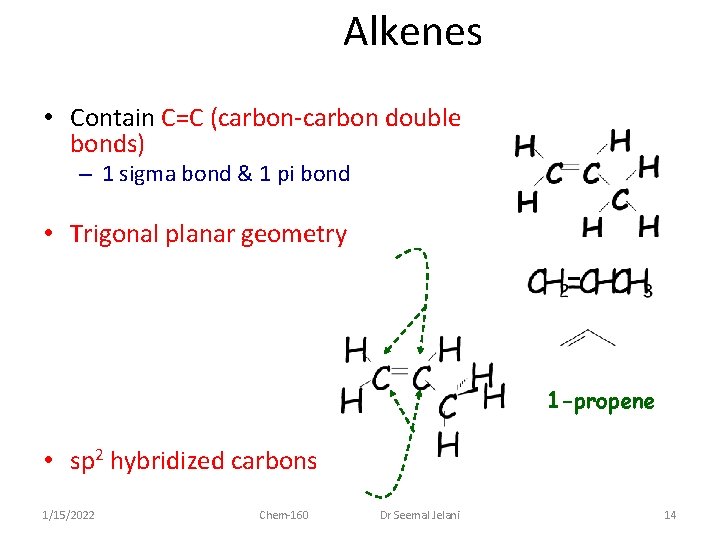 Alkenes • Contain C=C (carbon-carbon double bonds) – 1 sigma bond & 1 pi