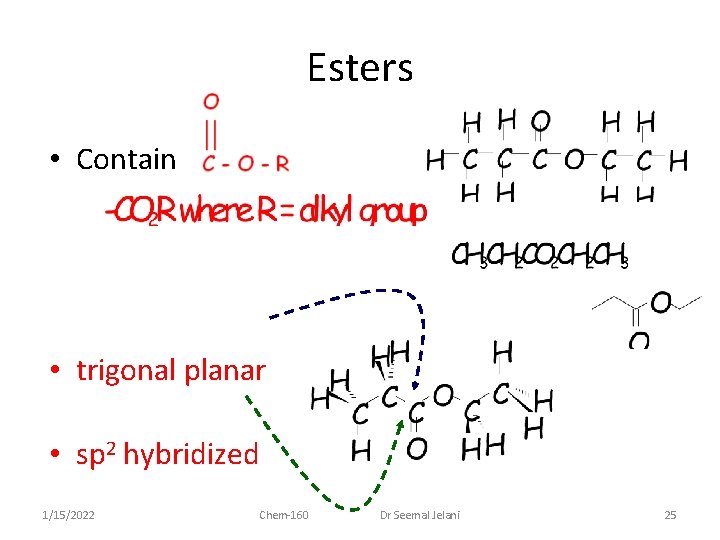 Esters • Contain • trigonal planar • sp 2 hybridized 1/15/2022 Chem-160 Dr Seemal