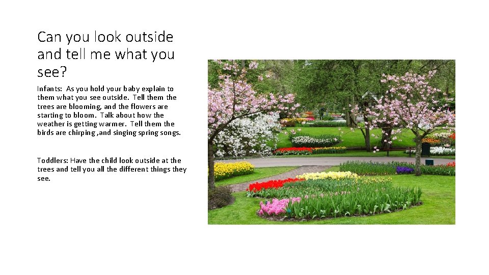Can you look outside and tell me what you see? Infants: As you hold Can you look outside and tell me what you see? Infants: As you hold